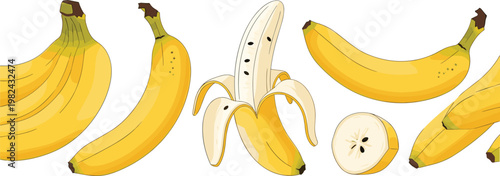 Fresh Ripe Banana Fruit Set Featuring Whole Bunches, Single Peeled Banana, and Sliced Pieces Isolated on White Background for Healthy Food Vector Design