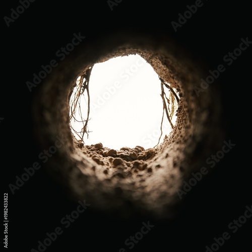 Inside an underground dirt cave with rough walls, stones, and vines. Mysterious subterranean tunnel opening into light. Empty hole into the earth. Old burrow, sewer, or dugout passage.