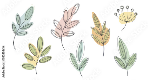 Abstract botanical elements with delicate watercolor washes.