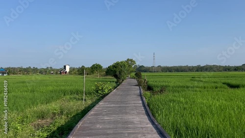 wooden bridge over the river