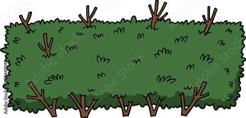 Hand drawn green bushes with various branches and leaves isolated on a transparent background for natural decor and landscaping themes in illustrations.