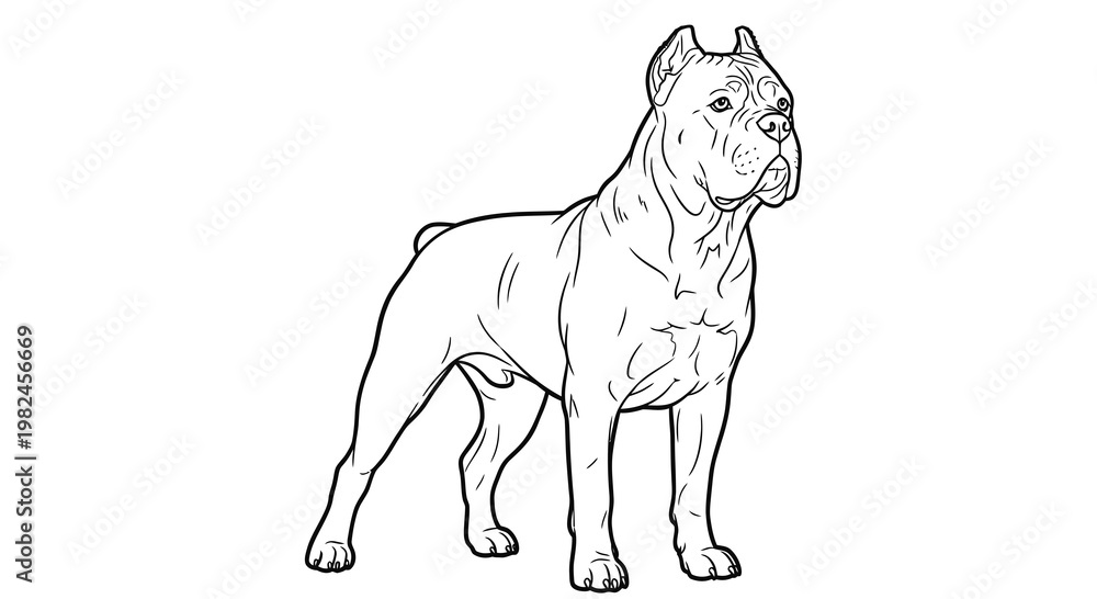Fototapeta premium Cane Corso Dog Vector Illustration, Detailed Line Art Drawing of a Powerful Guard Dog Breed for Coloring Pages and Graphic Design Projects