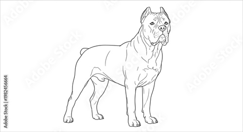 Cane Corso Dog Vector Illustration, Detailed Line Art Drawing of a Powerful Guard Dog Breed Isolated on White Background for Pet Design Projects