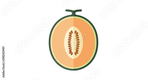 Cantaloupe Melon Half Vector Illustration, Flat Style Graphic Design of Fresh Sliced Muskmelon Fruit Icon for Healthy Food Concepts and Culinary Menu Elements