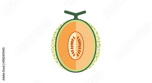 Cantaloupe Melon Half Vector Illustration, Flat Style Graphic of Fresh Orange Fruit with Seeds for Healthy Food Design and Culinary Menu Elements
