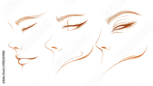 A stylized illustration depicting three adjacent profiles of a face, using brown lines