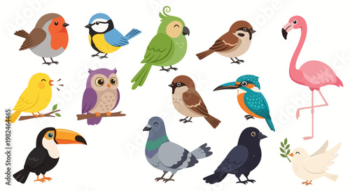 A collection of funny cartoon birds and penguins featuring a cute vector set of a parrot, owl, duck, and sparrow with colorful feathers for a wildlife nature design