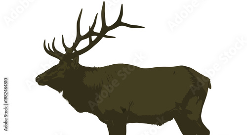 Large elk with antlers in profile view standing alone