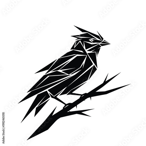 Black and white geometric bird sitting on a thorn branch