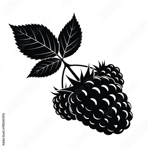 Stylized black silhouette vector illustration of ripe raspberries with leaves.