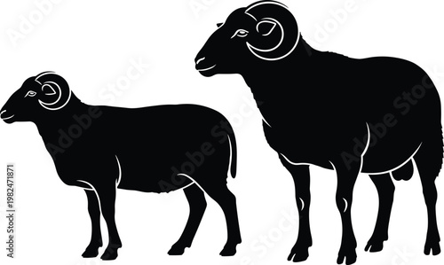 Two black ram silhouettes side by side with curved horns, strong muscular build, farm animal vector illustration