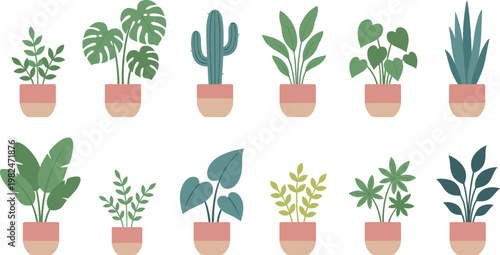  Set of twelve minimalist potted houseplants icons including monstera, cactus, succulents, and leafy greenery in flat style