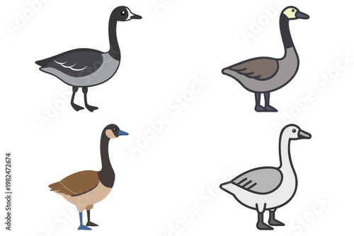 Canada Goose Vector Illustration - Wildlife Bird Art