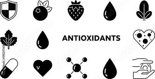 Antioxidant icons concept. Vector Line Icon Design. Simple flat style
