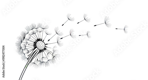 Dandelion seeds blowing in the wind, delicate nature illustration