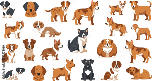 Dog breeds collection with cute and realistic canine characters, diverse puppy and adult dogs vector illustration set for pets, animals, veterinary and design use