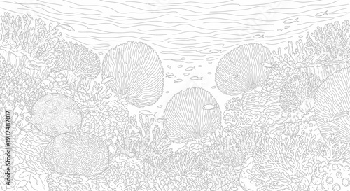Detailed underwater coral reef ecosystem line art illustration, marine life drawing with sponges and fish, ocean background