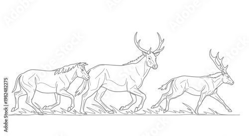 Running wildlife line art illustration with a majestic deer, smaller deer, and a powerful horse trotting together in nature.
