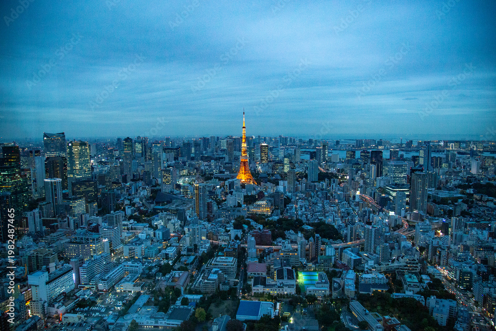Naklejka premium Skyline view in Tokyo, Japan