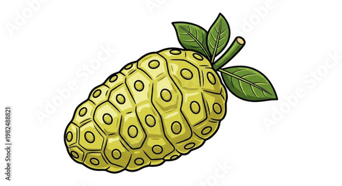 Illustration of a ripe noni fruit with green leaves.