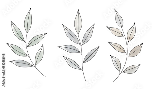 Hand-Drawn Botanical Leaves with Soft Colors for Nature, Gardening, and Minimalist Design Projects