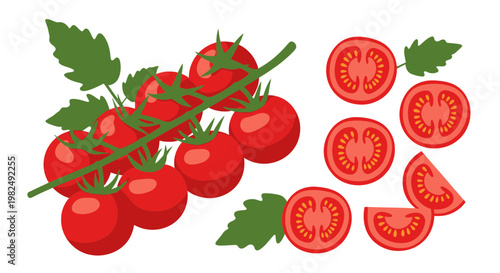 Fresh Cherry Tomatoes on Vine and Sliced Halves, Red Healthy Vegetables