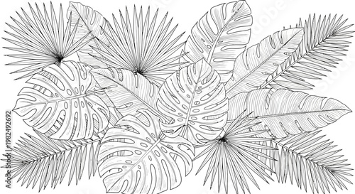 Tropical leaves line art illustration for coloring book. Exotic jungle foliage drawing. Botanical pattern with monstera and palm leaves.