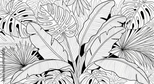 Detailed black and white line art illustration of tropical jungle leaves and exotic foliage, ideal for coloring books, seamless patterns, or nature backgrounds.