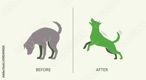 Dog transformation comparison showing before and after states.