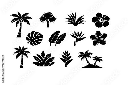 Collection of black tropical plant silhouettes featuring various palm trees, monstera leaves, banana leaves, hibiscus, plumeria, bird of paradise, and exotic jungle foliage icons on white background.