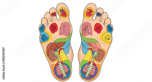 Foot Reflexology Chart Showing Acupressure Points for Health.