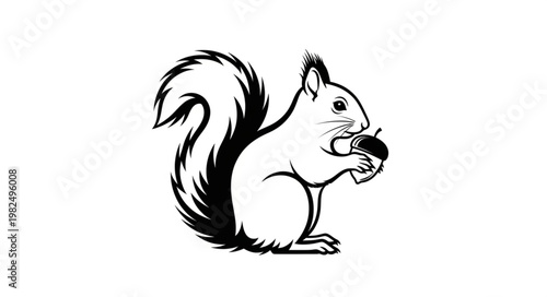 Cute squirrel holding an acorn in its paws illustration.