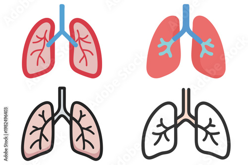 Human Lungs Vector Illustration - Anatomy, Medical, Health