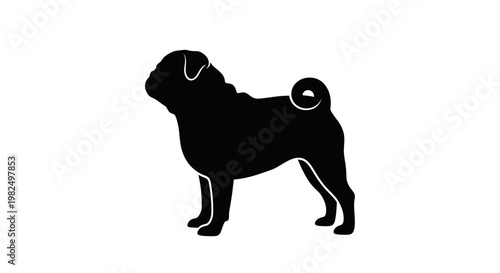 Black pug dog silhouette, isolated on white background, vector illustration