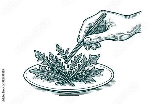 Dandelion Greens Hand Drawn Sketch, Holistic Wellness Fresh Salad Vector Illustration Isolated