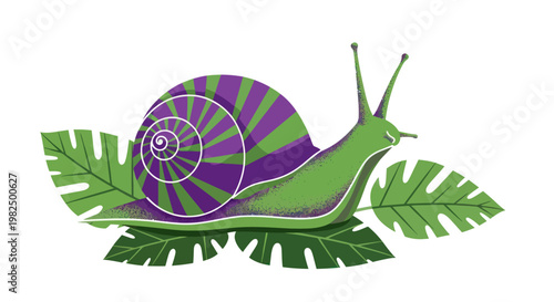 Colorful garden snail illustration with purple striped shell on monstera leaves