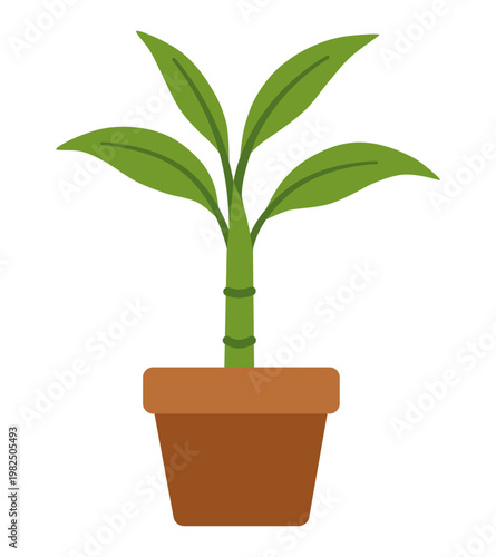 Lucky Bamboo Plant in Pot Flat Illustration