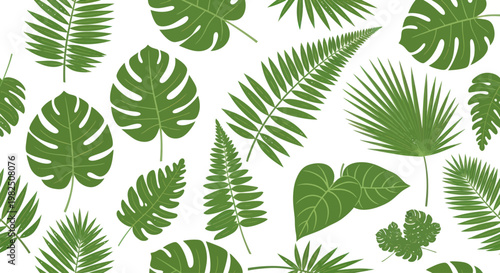 Tropical leaves on white background.