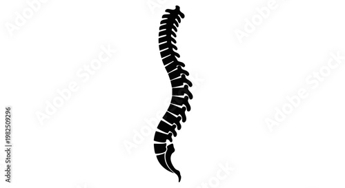 Human Spine Silhouette on White Background - Medical Icon
