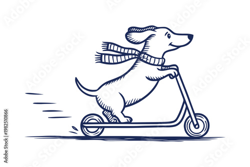 Cute happy dog wearing a scarf riding a kick scooter illustration