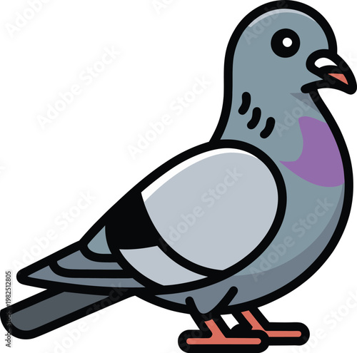 A plump pigeon standing on a white background with a clean vector illustration style