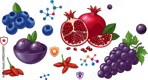 Fruit and Health Icon Set, Featuring Blueberries, Pomegranates, Grapes, and Molecular Structures in Vibrant and Detailed Style