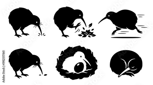 Black and white kiwi bird vector graphic illustrations set