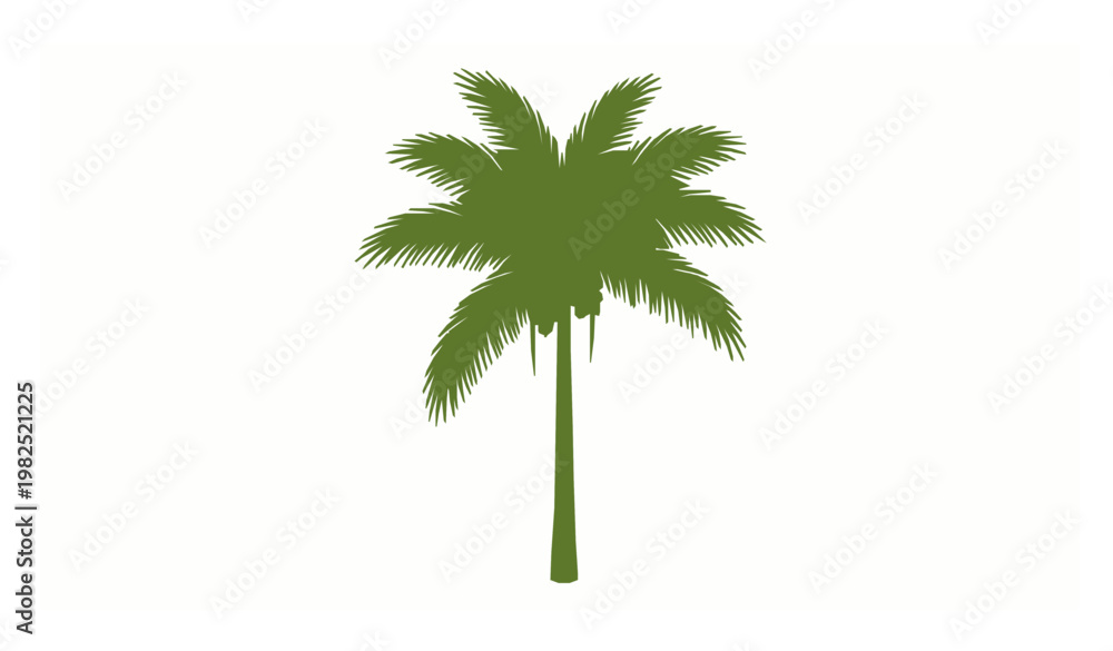 Fototapeta premium Betel nut palm tree areca tropical plant vector illustration