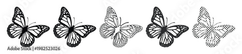 Vintage butterfly engraving set of 5 vector icons, black and white monarch butterfly illustrations, detailed hand drawn insect sketches for nature branding