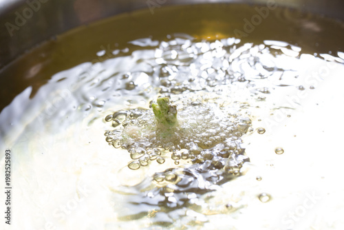 天婦羅　油　天ぷら　タラの芽