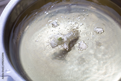 天婦羅　油　天ぷら　タラの芽