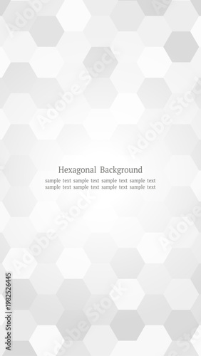 シンプルな淡いグレーの六角形モザイク背景 縦長16:9レイアウト