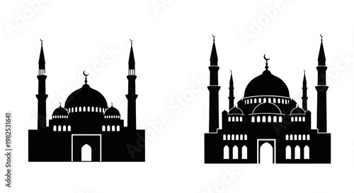 VECTION DPT DUTCHELMBEETLE