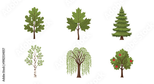 Diverse collection of six distinct tree species including oak and apple illustrated in a flat clean style against a plain white studio background.